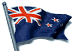 Flag nz transparent