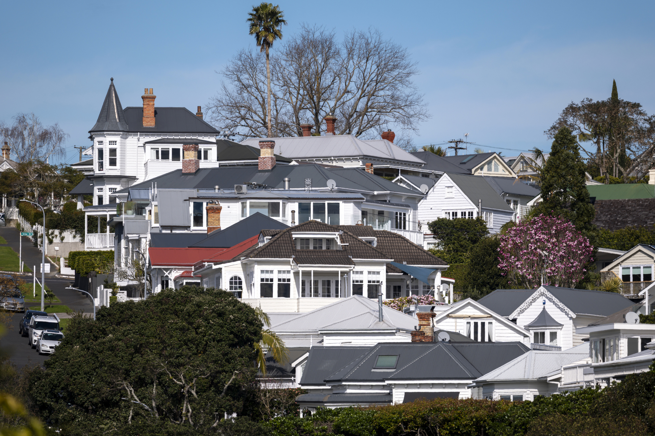Homes in Auckland, New Zealand